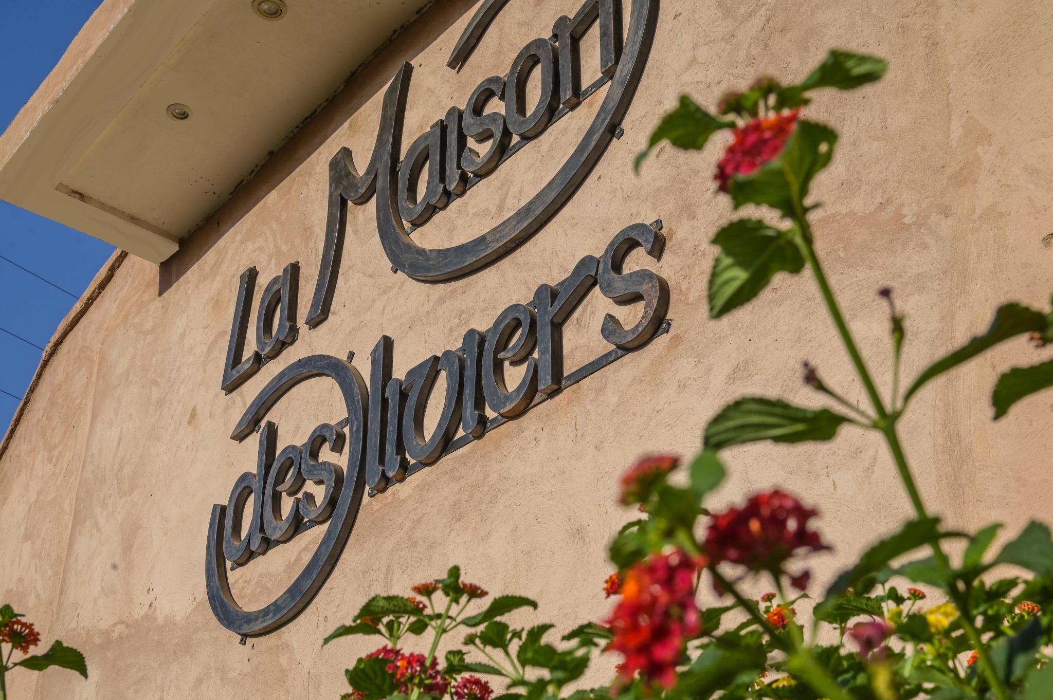 Home - La Maison Des Oliviers